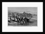 Shad-Fishing in the James River, Opposite Richmond by Anonymous