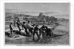 Shad-Fishing in the James River, Opposite Richmond by Anonymous