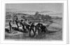 Shad-Fishing in the James River, Opposite Richmond by Anonymous