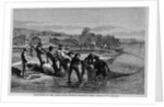 Shad-Fishing in the James River, Opposite Richmond by Anonymous