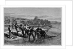 Shad-Fishing in the James River, Opposite Richmond by Anonymous