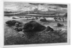 Indians Killing Buffaloes in the Missouri River by Anonymous