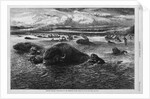 Indians Killing Buffaloes in the Missouri River by Anonymous