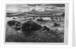 Indians Killing Buffaloes in the Missouri River by Anonymous