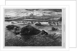Indians Killing Buffaloes in the Missouri River by Anonymous