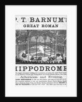 P.T. Barnum's Great Roman Hippodrome by Anonymous