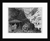 Gold and Silver Mining, Colorado-A Honey-Combed Mountain by Anonymous