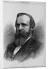 Rutherford B. Hayes - President of the United States by James Landy