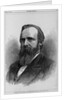 Rutherford B. Hayes - President of the United States by James Landy