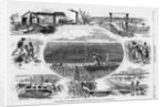 Rice culture on the Ogeechee, near Savannah, Georgia by A. R. Waud