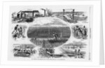 Rice culture on the Ogeechee, near Savannah, Georgia by A. R. Waud