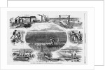 Rice culture on the Ogeechee, near Savannah, Georgia by A. R. Waud