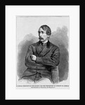 H. Bergh, president of the society for the prevention of cruelty to animals. Photographed by Rockwo
