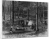 Scene in a sugar bush, Otsego County, New York by A. S. Avery by Anonymous