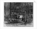 Scene in a sugar bush, Otsego County, New York by A. S. Avery by Anonymous