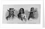 Altela, Chief of the Kiowas. Set-Im-Ga-Er, or "Stumbling Bear." Ten-E-Au-Coop, or "Kicking Bird" by Anonymous