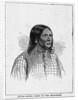 Little Raven, Chief of the Arapahoes by Anonymous