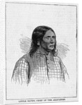 Little Raven, Chief of the Arapahoes by Anonymous