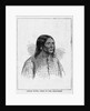 Little Raven, Chief of the Arapahoes by Anonymous