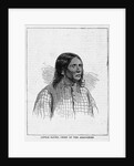 Little Raven, Chief of the Arapahoes by Anonymous