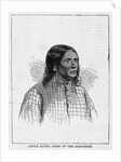 Little Raven, Chief of the Arapahoes by Anonymous