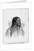 Little Raven, Chief of the Arapahoes by Anonymous
