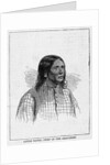 Little Raven, Chief of the Arapahoes by Anonymous