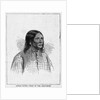 Little Raven, Chief of the Arapahoes by Anonymous