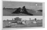Flirting on the Sea-Shore and on the Meadow by Anonymous