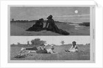 Flirting on the Sea-Shore and on the Meadow by Anonymous