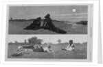 Flirting on the Sea-Shore and on the Meadow by Anonymous