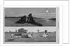 Flirting on the Sea-Shore and on the Meadow by Anonymous