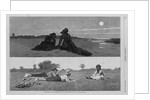 Flirting on the Sea-Shore and on the Meadow by Anonymous