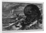 The Perilous Baloon Voyage of Monsieur and Madame Durouf-The Rescue in the North Sea by Anonymous