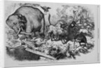 The Third Term Panic. "An Ass, Having Put on the Lion's Skin, Roamed About in the Forest" by Anonymous