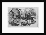 The Third Term Panic. "An Ass, Having Put on the Lion's Skin, Roamed About in the Forest" by Anonymous