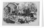 The Third Term Panic. "An Ass, Having Put on the Lion's Skin, Roamed About in the Forest" by Anonymous