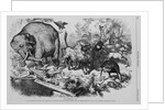 The Third Term Panic. "An Ass, Having Put on the Lion's Skin, Roamed About in the Forest" by Anonymous