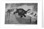 Hunting the Mammoth by Anonymous