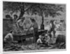 Sketches in the Far West-Sugar Making in Texas by Anonymous