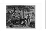 Sketches in the Far West-Sugar Making in Texas by Anonymous