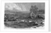 The Harvest of Death-Gettysburg, July 4, 1863 by Anonymous