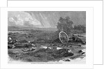The Harvest of Death-Gettysburg, July 4, 1863 by Anonymous