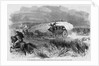 On the Plains - Indians Attacking Butterfield's Overland Dispatch Coach by Anonymous