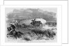 On the Plains - Indians Attacking Butterfield's Overland Dispatch Coach by Anonymous