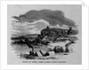 Valley of Spring Creek, Kansas Pacific Railroad by Anonymous