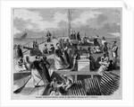 Colored emigrants seeking homes in the north by W. L. Sheppard