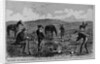 Discovering the remains of Lieutenant Kidder and ten men of the Seventh United States Cavalry by Anonymous