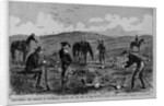 Discovering the remains of Lieutenant Kidder and ten men of the Seventh United States Cavalry by Anonymous