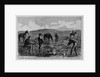 Discovering the remains of Lieutenant Kidder and ten men of the Seventh United States Cavalry by Anonymous